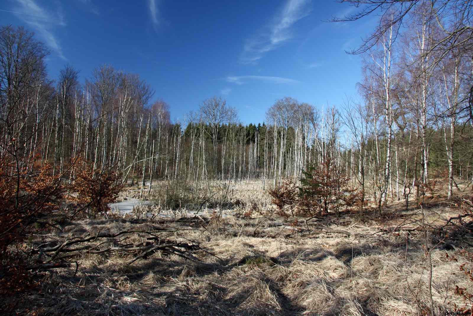 * Image 38