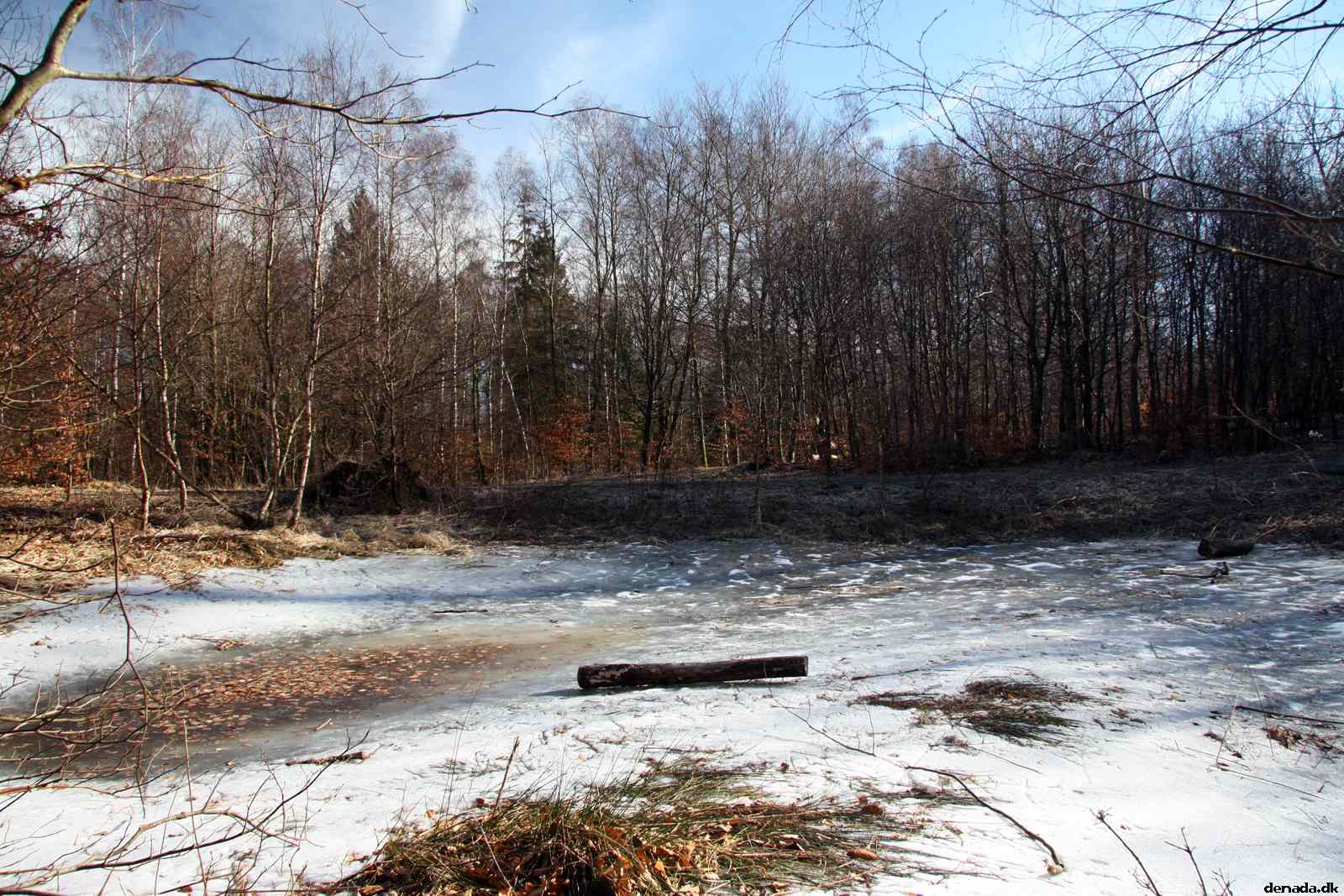 * Image 51