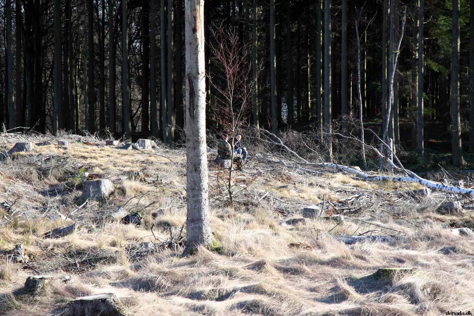 * Image 59