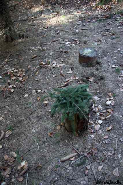 * Image 9