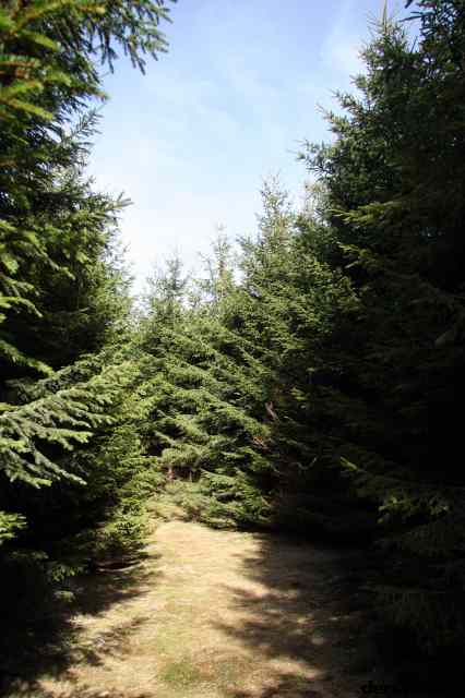 * Image 18