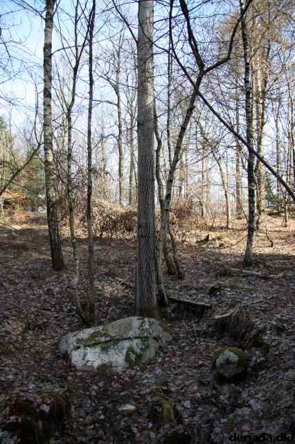* Image 23