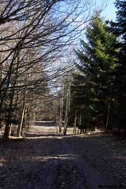 * Image 26