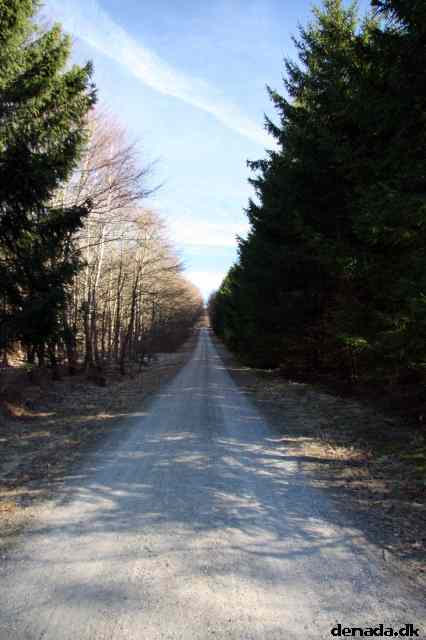 * Image 29