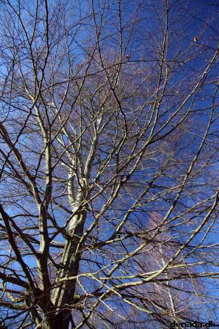* Image 54