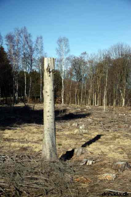 * Image 57