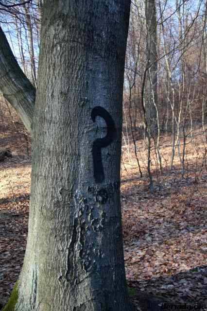* Image 62