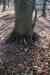 201103060009m.jpg - 2011:03:06 11:12:28