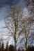 201103060010m.jpg - 2011:03:06 11:25:09