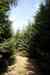 201103060024m.jpg - 2011:03:06 11:56:07