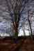 201103060027m.jpg - 2011:03:06 12:17:40