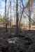 201103060029m.jpg - 2011:03:06 12:35:44