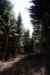 201103060035m.jpg - 2011:03:06 12:52:04