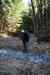 201103060043m.jpg - 2011:03:06 13:19:26