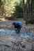 201103060044m.jpg - 2011:03:06 13:19:29