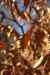 201103060054m.jpg - 2011:03:06 13:29:21