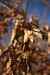 201103060055m.jpg - 2011:03:06 13:29:29