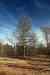 201103060068m.jpg - 2011:03:06 14:17:49