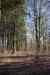 201103060070m.jpg - 2011:03:06 14:29:41