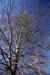 201103060071m.jpg - 2011:03:06 14:34:30