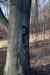 201103060080m.jpg - 2011:03:06 15:28:18