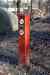201103060083m.jpg - 2011:03:06 15:37:24