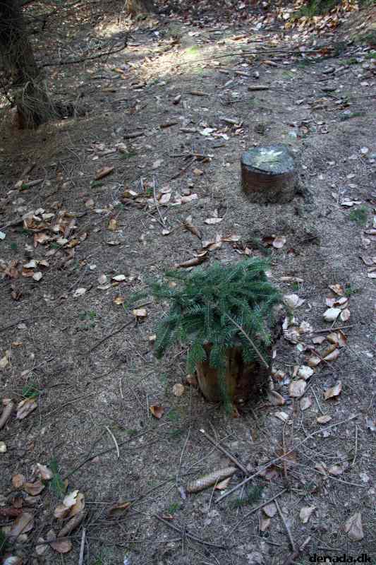 * Image 9