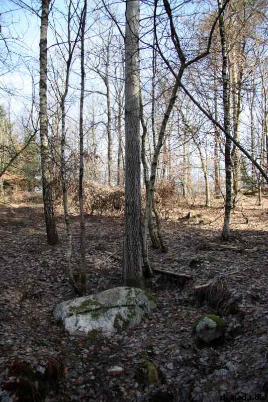 * Image 23