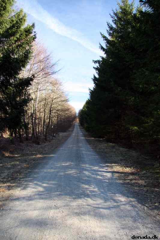 * Image 29