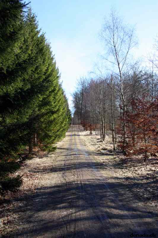* Image 32