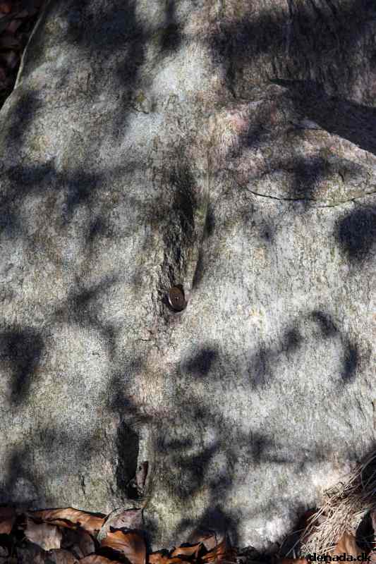 * Image 48
