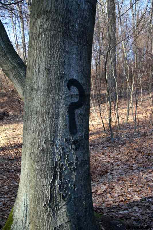 * Image 62