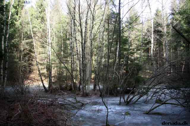* Image 8