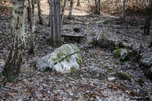 * Image 22