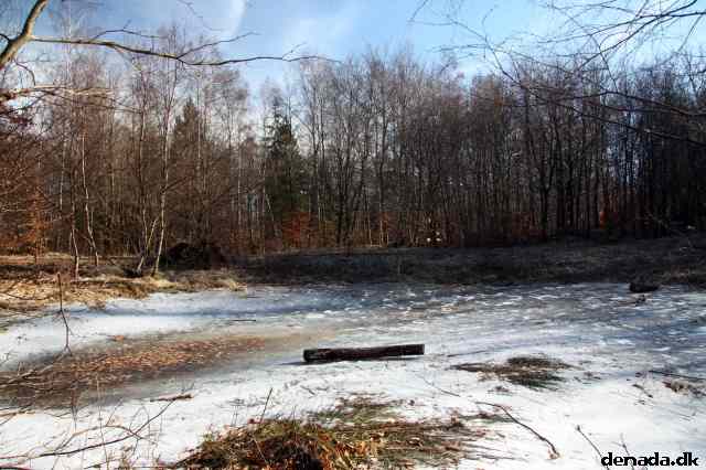 * Image 51