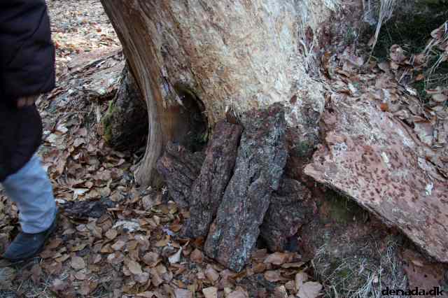 * Image 66