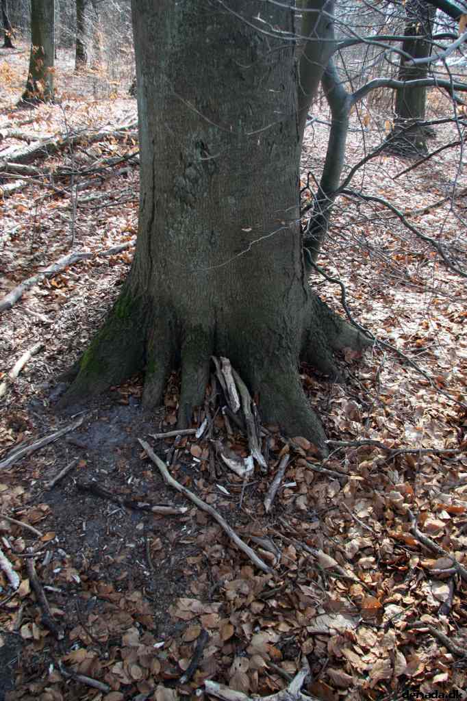 * Image 6