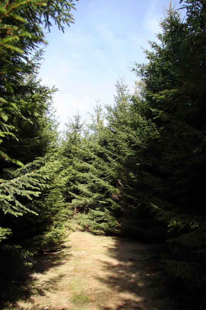 * Image 18