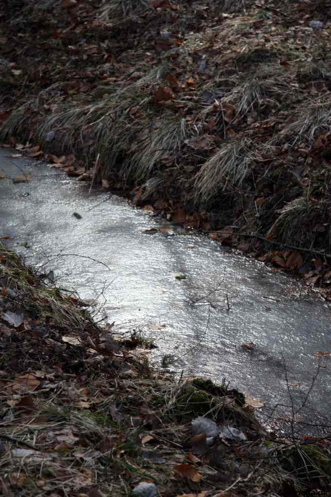 * Image 24