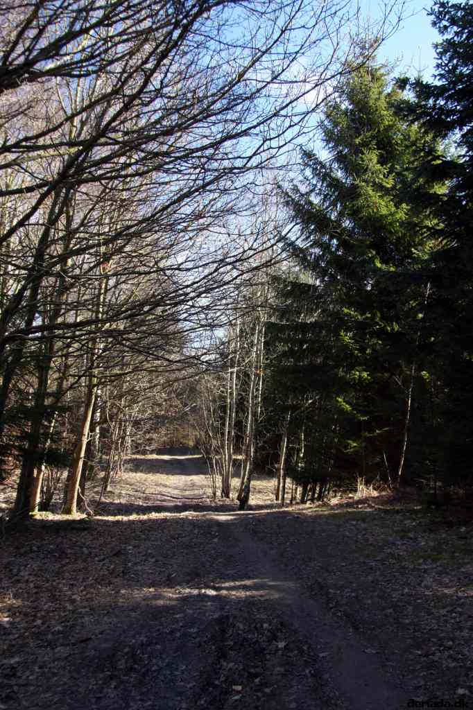 * Image 26