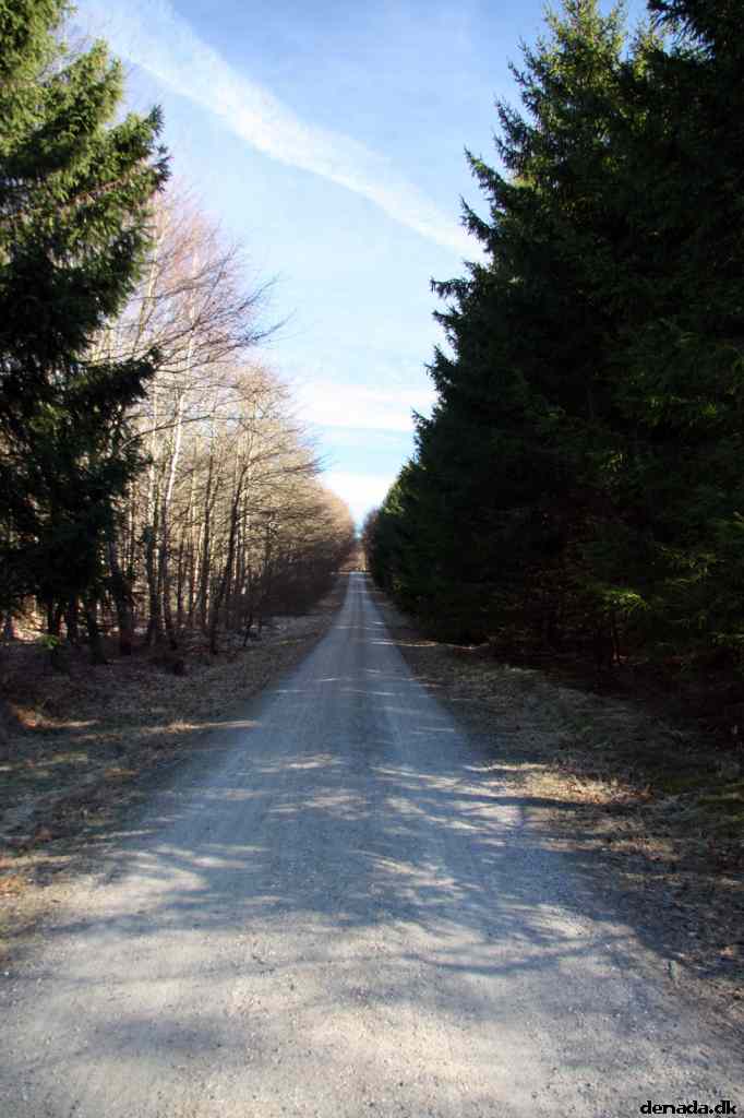 * Image 29