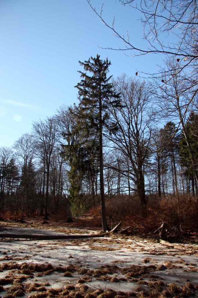 * Image 46