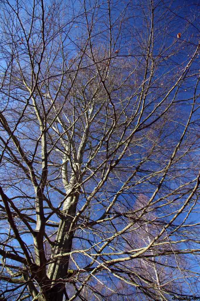 * Image 54