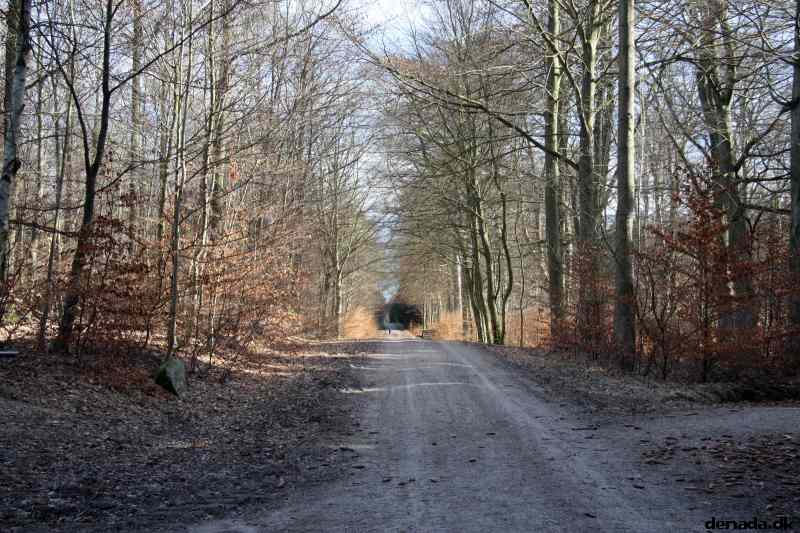* Image 17