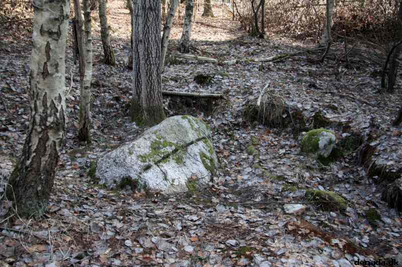 * Image 22