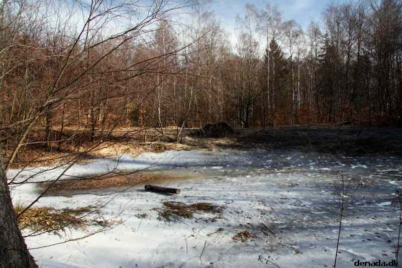 * Image 50