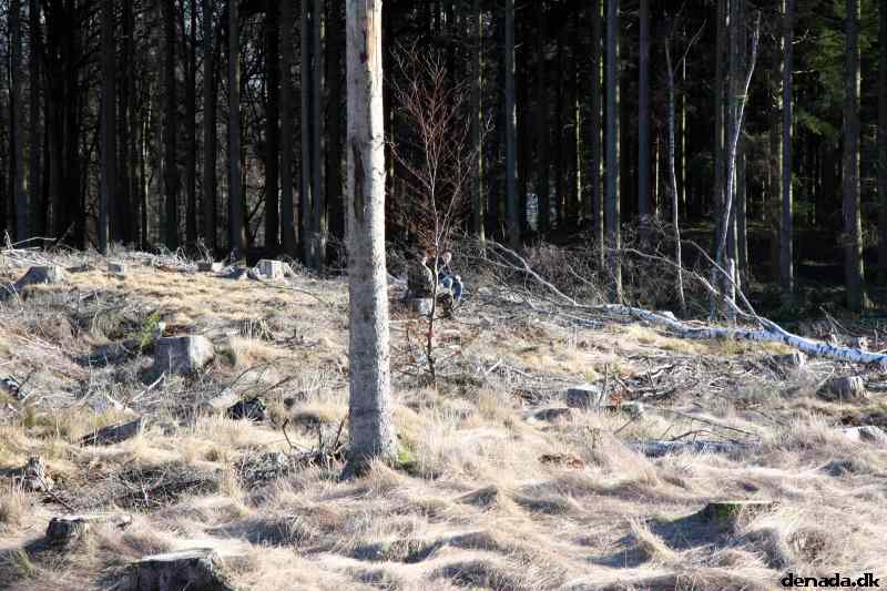 * Image 59
