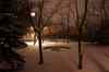 201103170016m.jpg - 2011:03:17 20:08:48