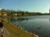 DSC00655m.jpg - 2011:03:20 14:23:42