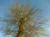 DSC00667m.jpg - 2011:03:20 16:15:53